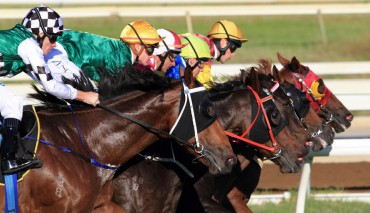 Broodmare Agistment, foaling down and weaning